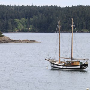 The Phoenix moored near the ferry terminal on Orcas Island