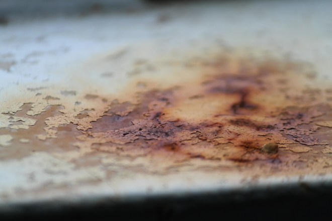 A bit of "cancer" on the Hyak ferry between Orcas Island and Anacortes