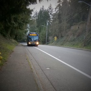 Catching the morning bus
