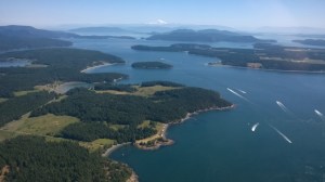 Boats darting all directions in the San Juan Island